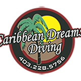 Caribbean Dreams Diving